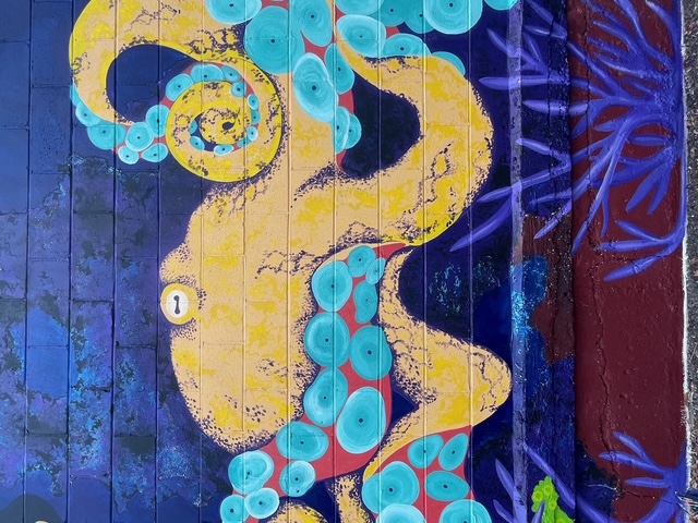 Murray the octopus mural, view 23.